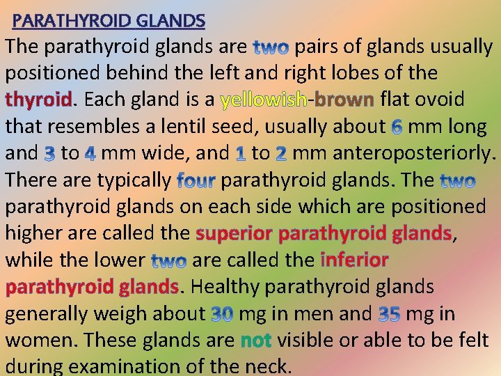 PARATHYROID GLANDS The parathyroid glands are pairs of glands usually positioned behind the left