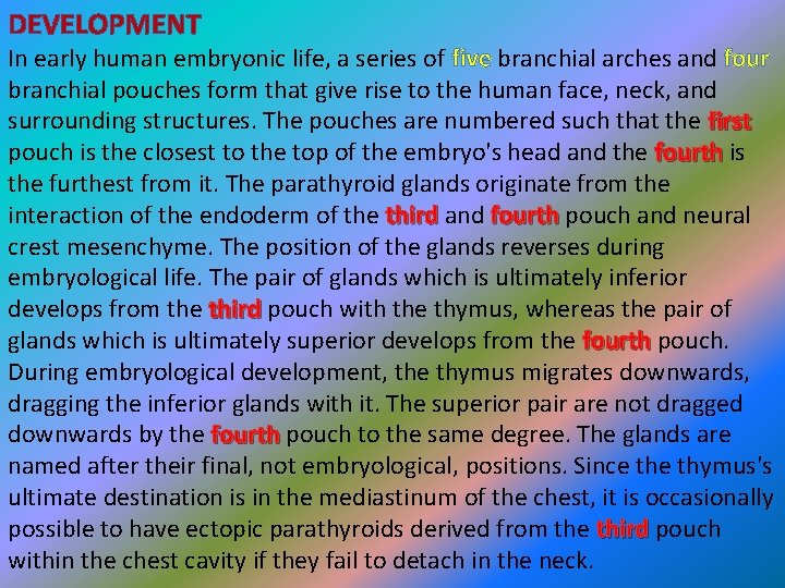 DEVELOPMENT In early human embryonic life, a series of five branchial arches and four