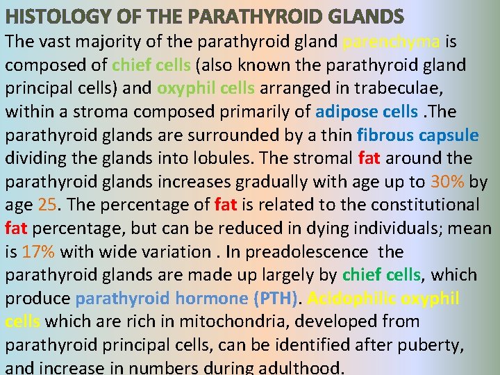HISTOLOGY OF THE PARATHYROID GLANDS The vast majority of the parathyroid gland parenchyma is