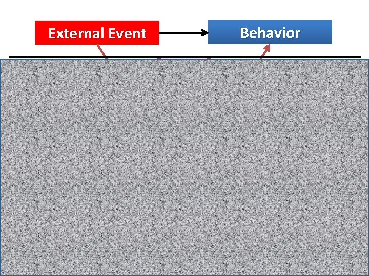 Behavior External Event Conscious Thought Unconscious: Emotion Instincts Wishes Past Events and … 