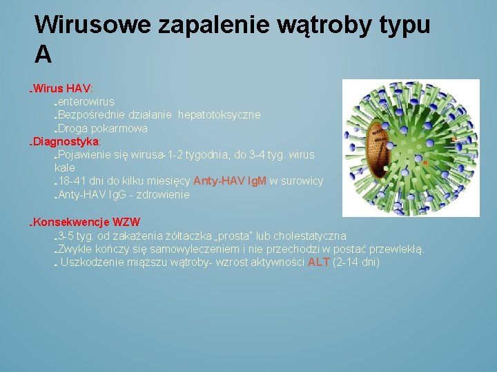 Wirusowe zapalenie wątroby typu A Wirus HAV: enterowirus Bezpośrednie działanie hepatotoksyczne Droga pokarmowa Diagnostyka: