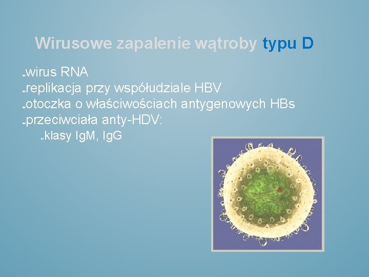 Wirusowe zapalenie wątroby typu D wirus RNA replikacja przy współudziale HBV otoczka o właściwościach
