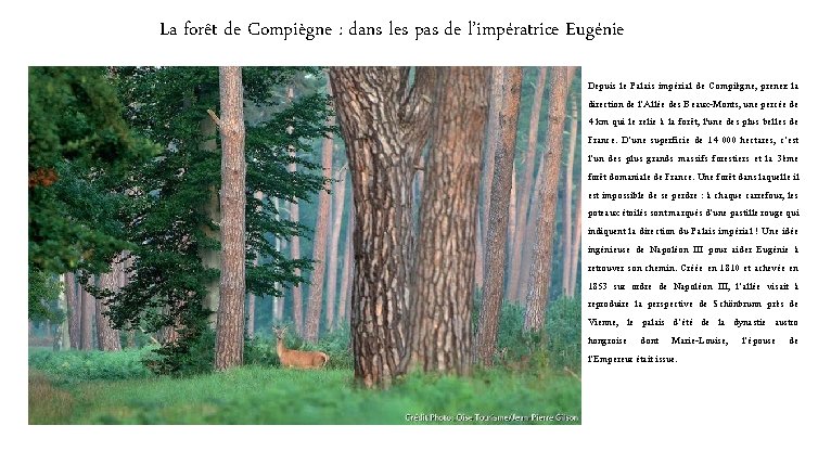 La forêt de Compiègne : dans les pas de l’impératrice Eugénie Depuis le Palais