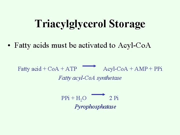 Triacylglycerol Storage • Fatty acids must be activated to Acyl-Co. A Fatty acid +