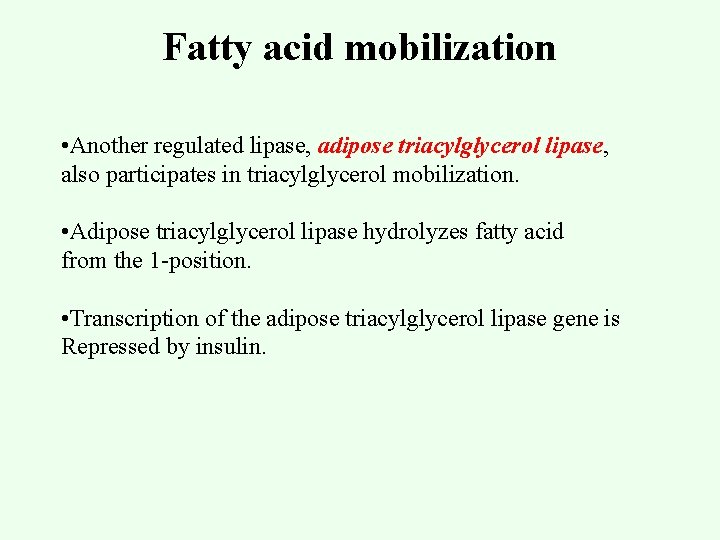 Fatty acid mobilization • Another regulated lipase, adipose triacylglycerol lipase, also participates in triacylglycerol