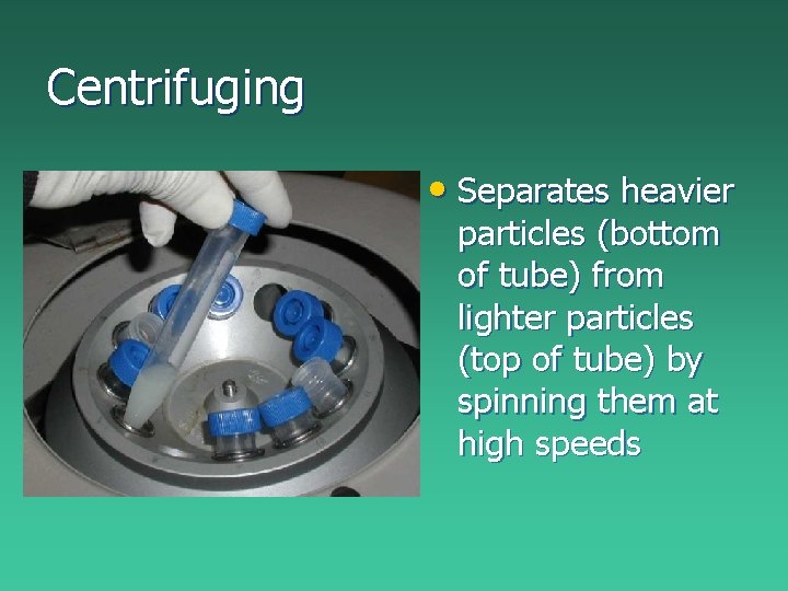 Centrifuging • Separates heavier particles (bottom of tube) from lighter particles (top of tube) Centrifuging • Separates heavier particles (bottom of tube) from lighter particles (top of tube)