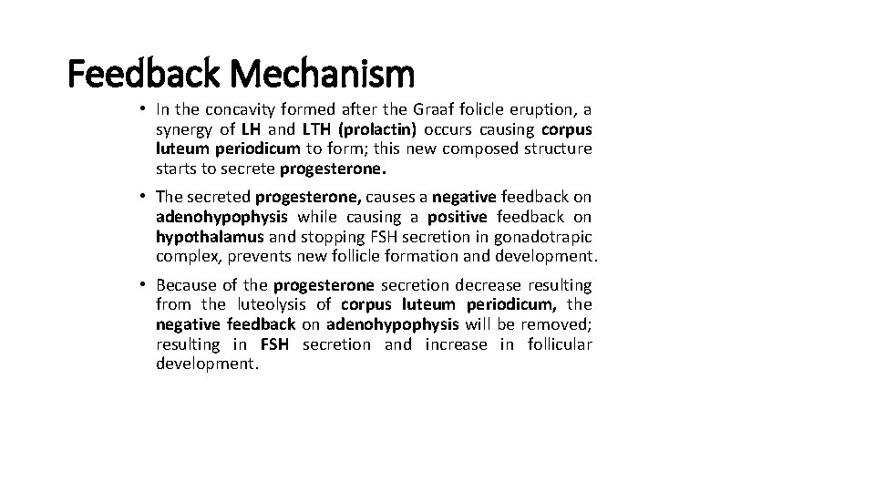 Feedback Mechanism • In the concavity formed after the Graaf folicle eruption, a synergy