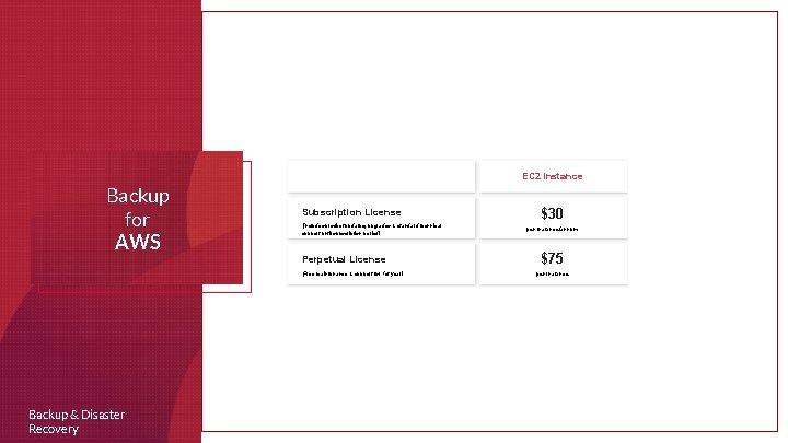 EC 2 Instance Backup for AWS Subscription License (Includes product updates, upgrades & standard