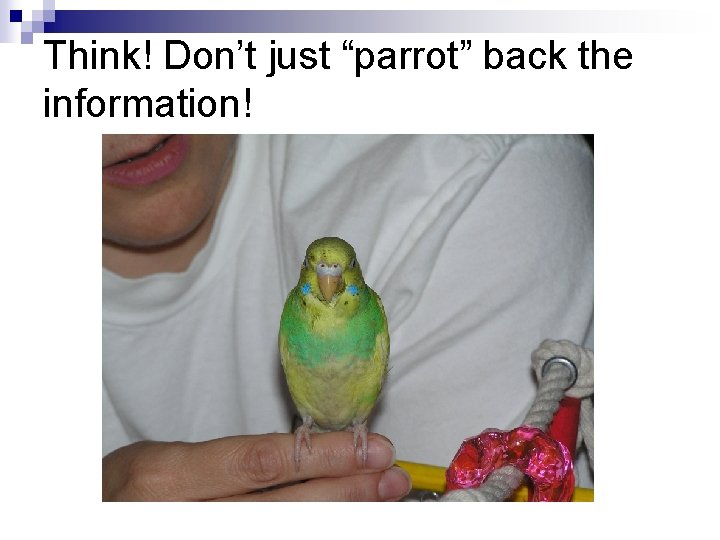 Think! Don’t just “parrot” back the information! 
