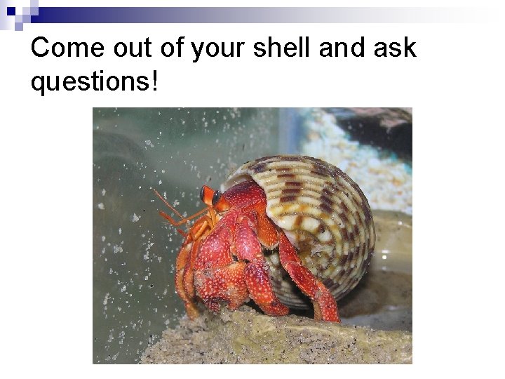 Come out of your shell and ask questions! 