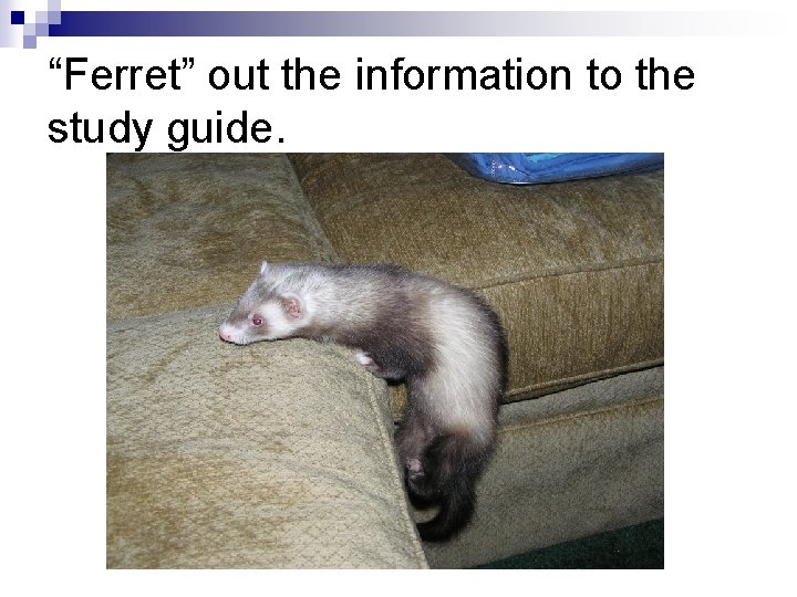 “Ferret” out the information to the study guide. 
