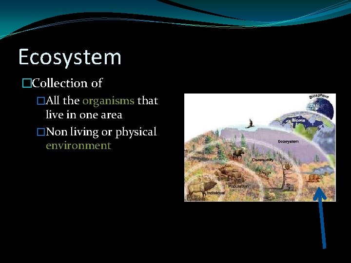 Ecosystem �Collection of �All the organisms that live in one area �Non living or
