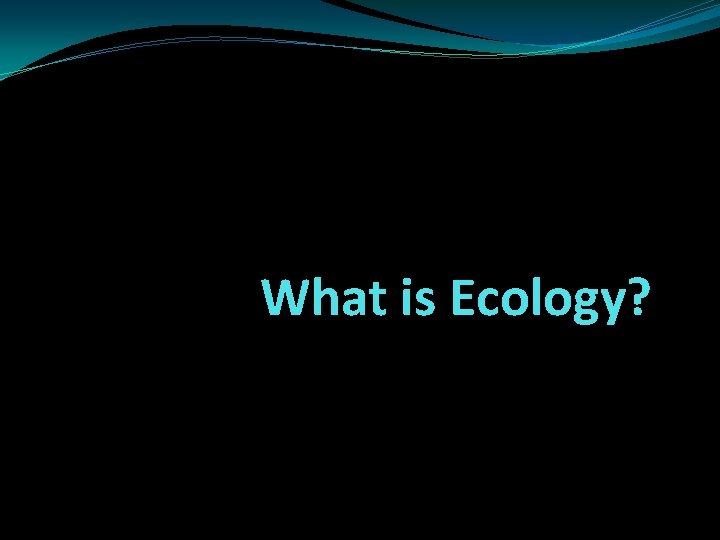 What is Ecology? 