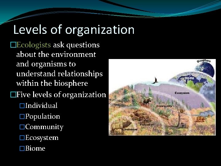 Levels of organization �Ecologists ask questions about the environment and organisms to understand relationships