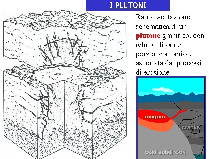 I PLUTONI Rappresentazione schematica di un plutone granitico, con relativi filoni e porzione superiore