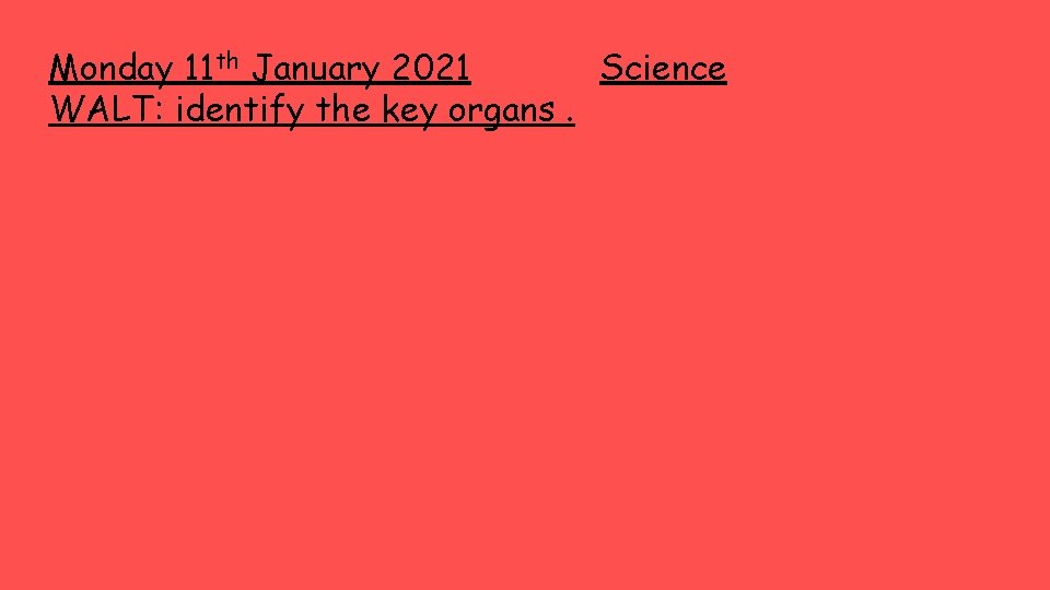 Monday 11 th January 2021 Science WALT: identify the key organs. 