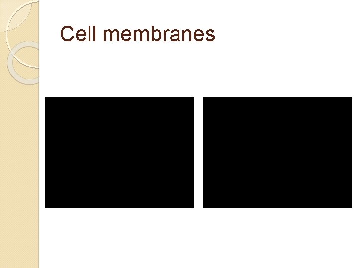 Cell membranes 