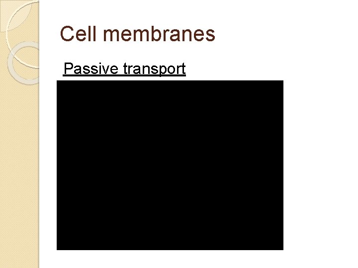 Cell membranes Passive transport 