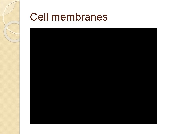 Cell membranes 