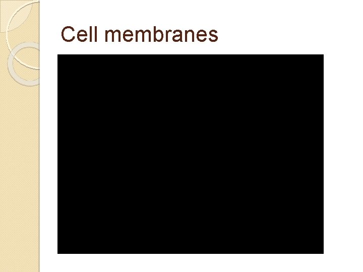 Cell membranes 