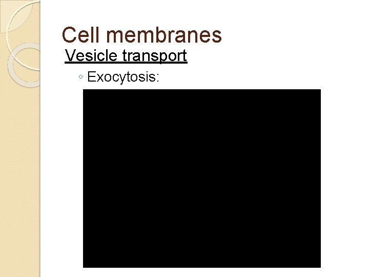 Cell membranes Vesicle transport ◦ Exocytosis: 