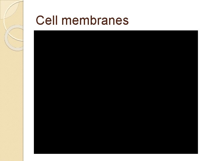 Cell membranes 