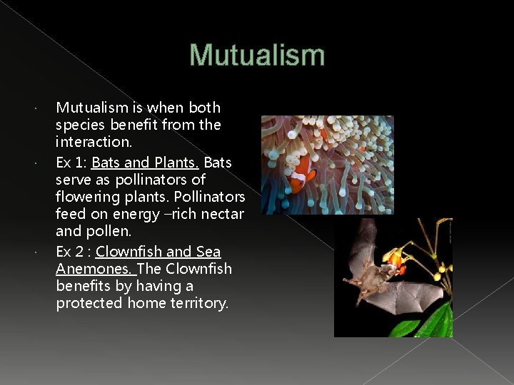 Mutualism Mutualism is when both species benefit from the interaction. Ex 1: Bats and