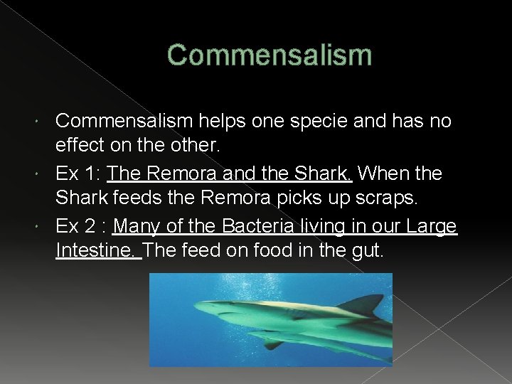 Commensalism helps one specie and has no effect on the other. Ex 1: The