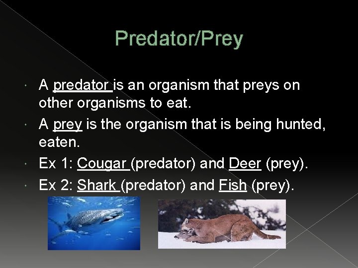 Predator/Prey A predator is an organism that preys on other organisms to eat. A