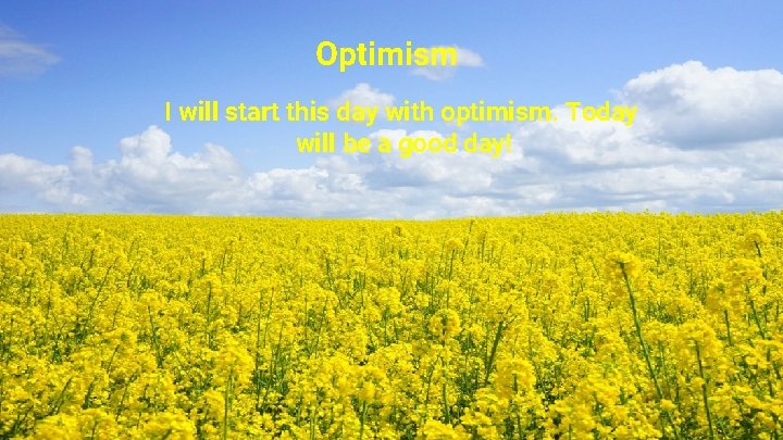 Optimism I will start this day with optimism. Today will be a good day!