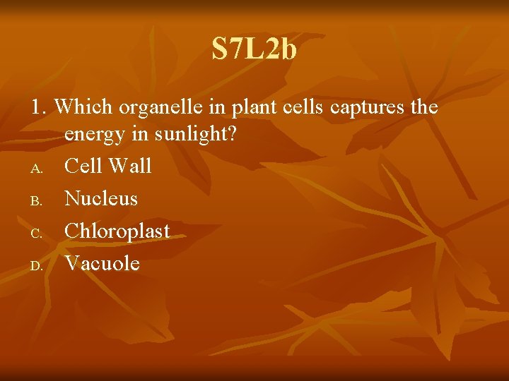 S 7 L 2 b 1. Which organelle in plant cells captures the energy