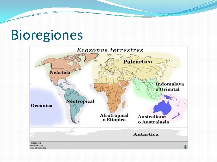 Bioregiones 