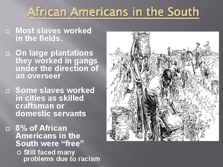 African Americans in the South Most slaves worked in the fields. On large plantations