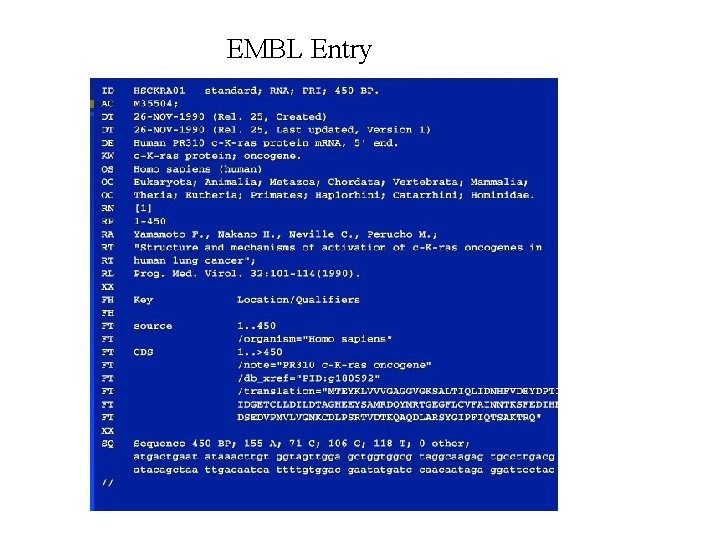 EMBL Entry 