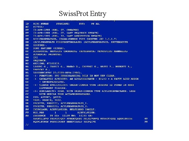 Swiss. Prot Entry 