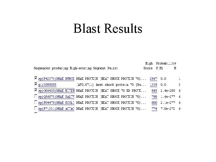 Blast Results 