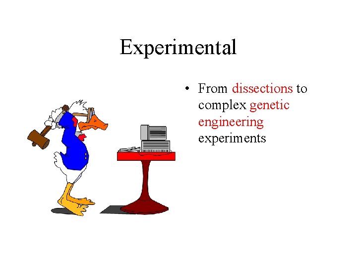 Experimental • From dissections to complex genetic engineering experiments 