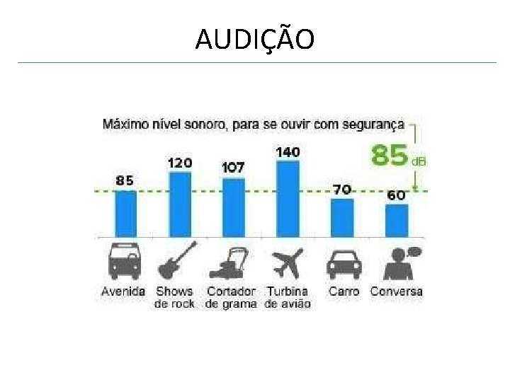 AUDIÇÃO 