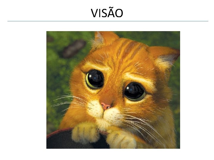 VISÃO 