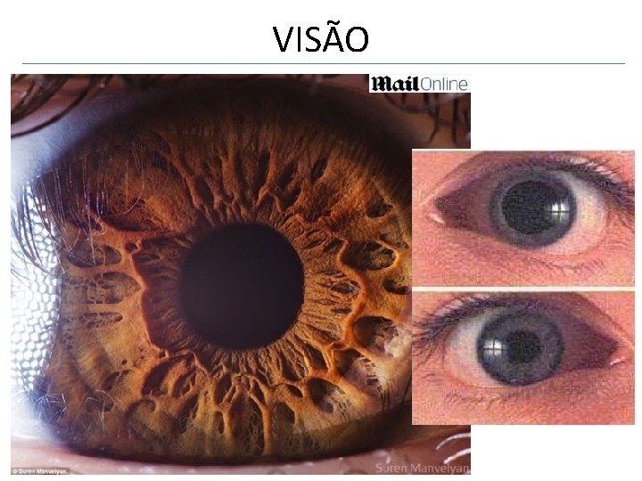 VISÃO 