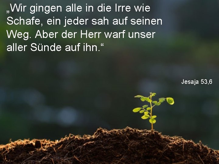 „Wir gingen alle in die Irre wie Schafe, ein jeder sah auf seinen Weg.