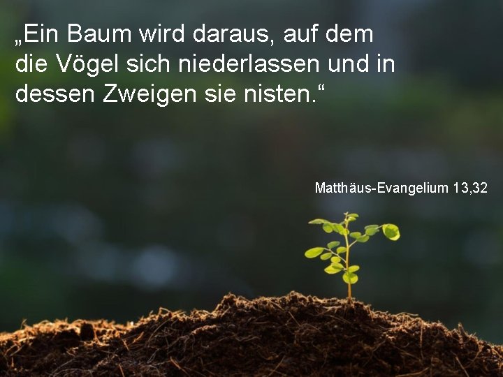 „Ein Baum wird daraus, auf dem die Vögel sich niederlassen und in dessen Zweigen