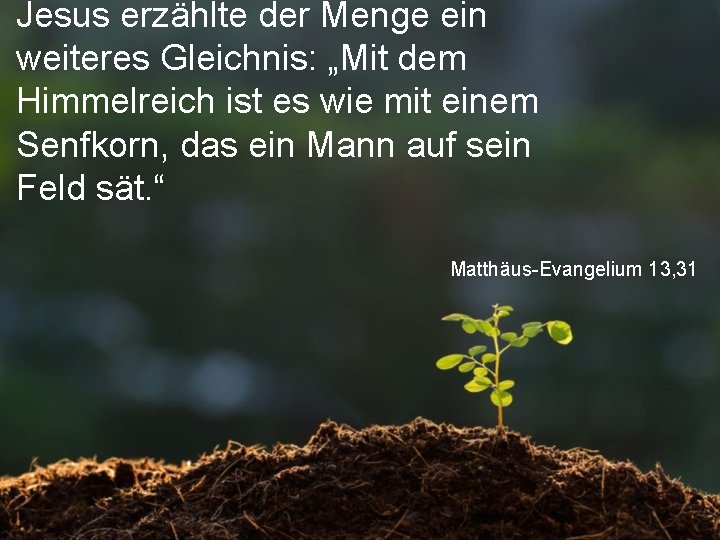 Jesus erzählte der Menge ein weiteres Gleichnis: „Mit dem Himmelreich ist es wie mit