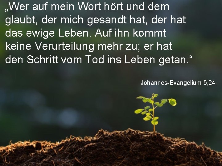 „Wer auf mein Wort hört und dem glaubt, der mich gesandt hat, der hat