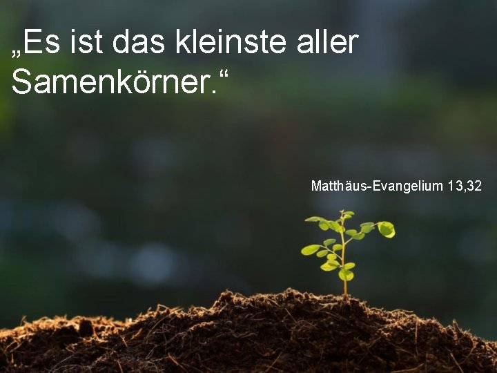 „Es ist das kleinste aller Samenkörner. “ Matthäus-Evangelium 13, 32 