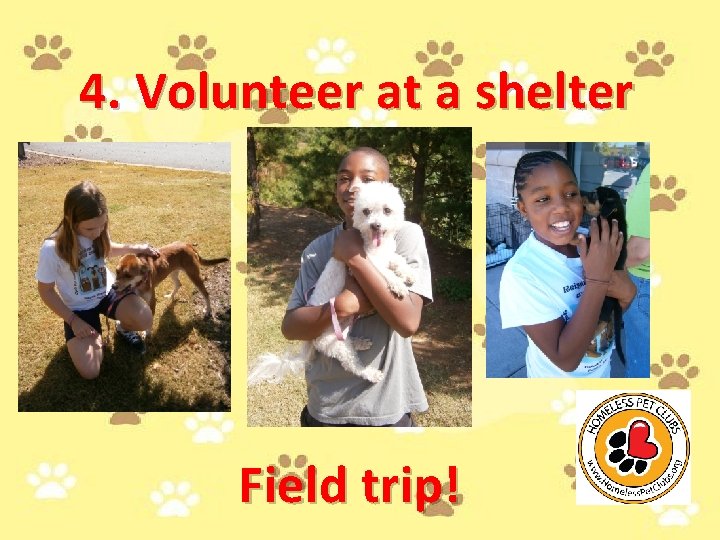 4. Volunteer at a shelter Field trip! 