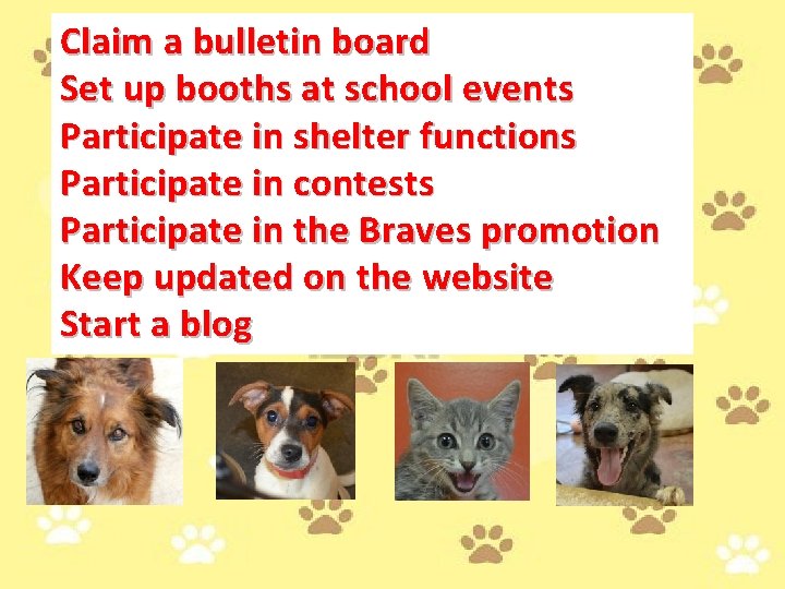 Claim a bulletin board Set up booths at school events Participate in shelter functions