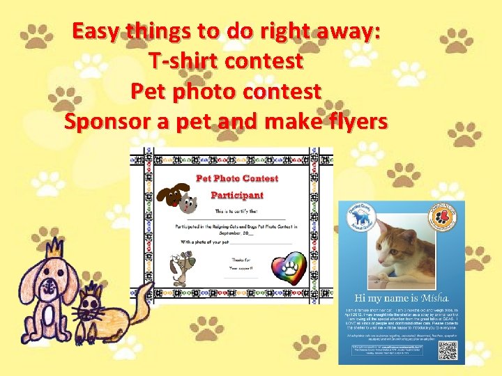 Easy things to do right away: T-shirt contest Pet photo contest Sponsor a pet