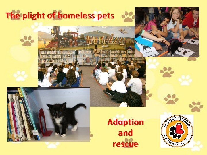 The plight of homeless pets Adoption and rescue 