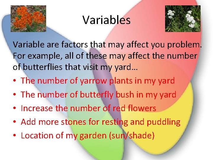 Variables Variable are factors that may affect you problem. For example, all of these